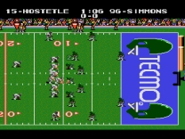 Tecmo Super Bowl   ROM
