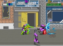 Teenage Mutant Hero Turtles Rom