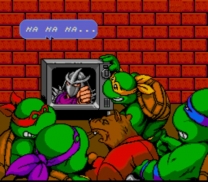 Teenage Mutant Ninja Turtles IV - Turtles in Time   ROM