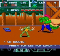 Teenage Mutant Ninja Turtles IV - Turtles in Time  ROM