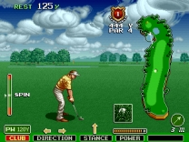 The Irem Skins Game  ROM
