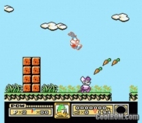 Tiny Toon Adventures  ROM