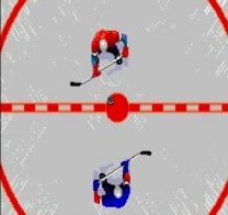 TV Sports Hockey  ROM