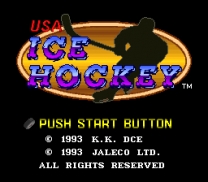 USA Ice Hockey   ROM