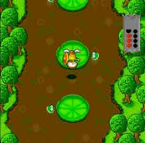Walkuere no Densetsu  ROM