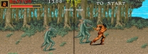 Warrior Blade - Rastan Saga Episode III  ROM