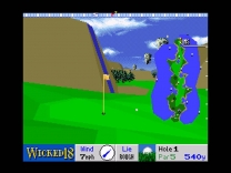 Wicked 18  ROM