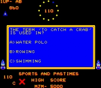 Wizz Quiz  ROM