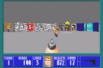 Wolfenstein 3D  ROM