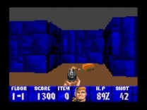 Wolfenstein 3D  ROM