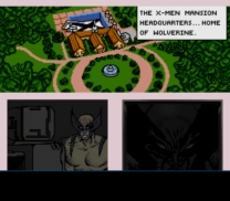 Wolverine - Adamantium Rage  ROM