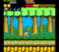 Wonder Boy Rom