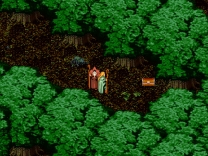 Wondrous Magic  ROM