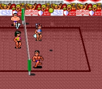 World Beach Volley  ROM