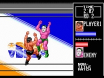 Wrestle War  ROM