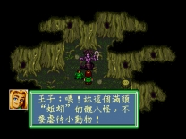 Xin Qigai Wangzi    ROM