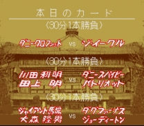 Zen-Nihon Pro Wrestling 2 - 3-4 Budoukan  ROM