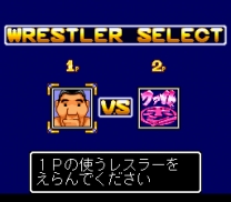 Zen-Nihon Pro Wrestling - Fight da Pon!  ROM